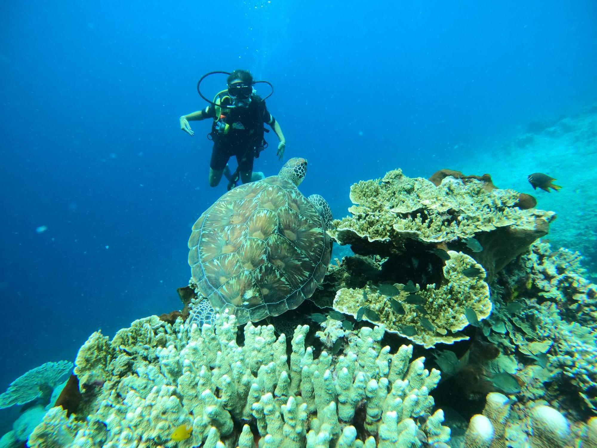 בונאקן 4 Sisters Divers מראה חיצוני תמונה