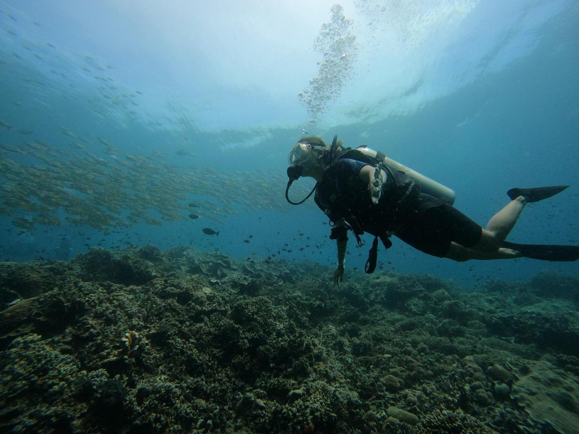 בונאקן 4 Sisters Divers מראה חיצוני תמונה