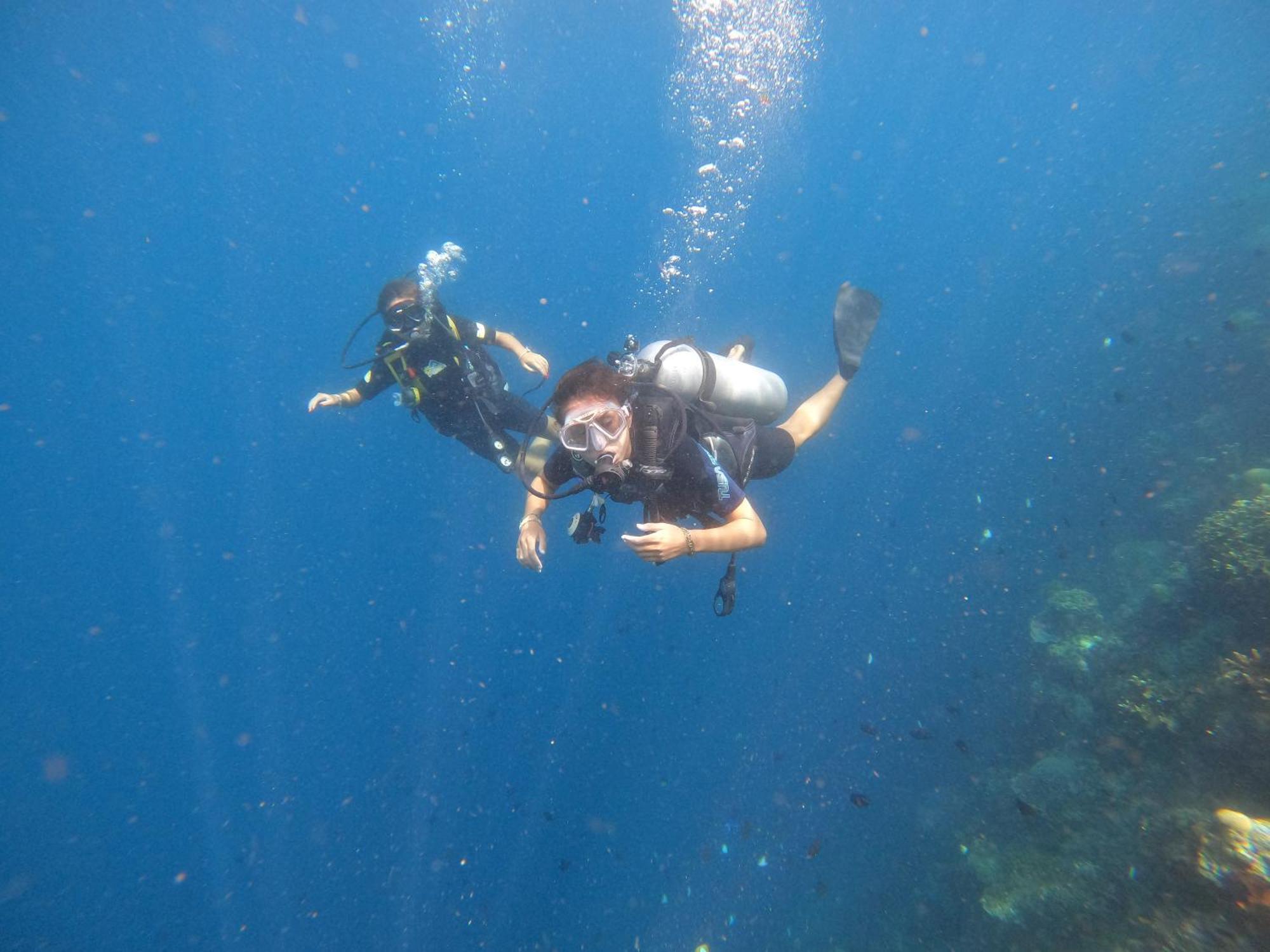 בונאקן 4 Sisters Divers מראה חיצוני תמונה