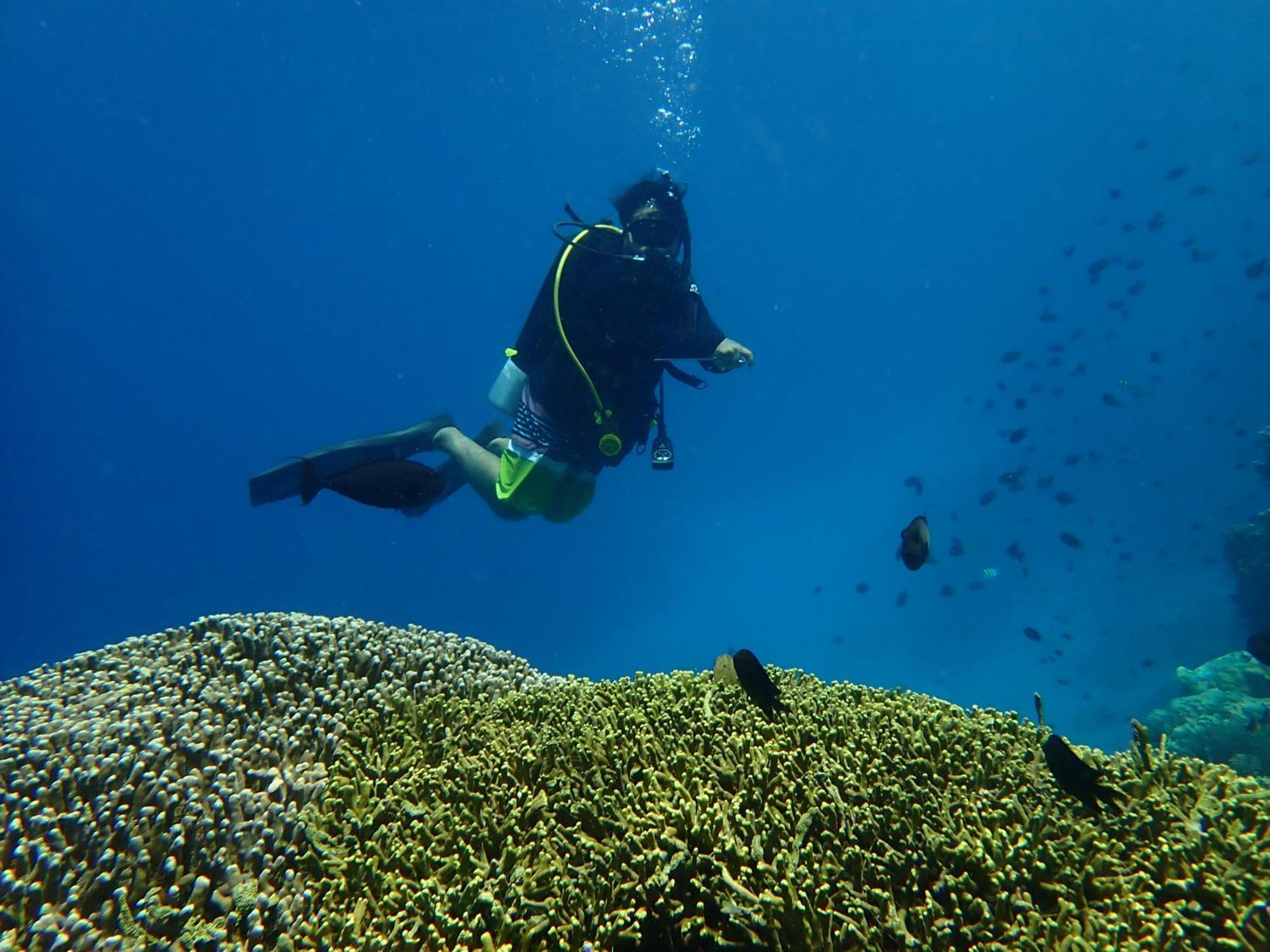 בונאקן 4 Sisters Divers מראה חיצוני תמונה